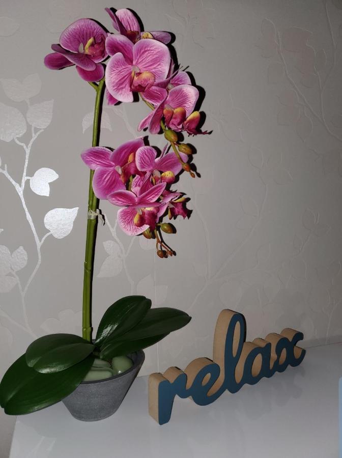 Zlatibor Hills Royal Apartment Ngoại thất bức ảnh