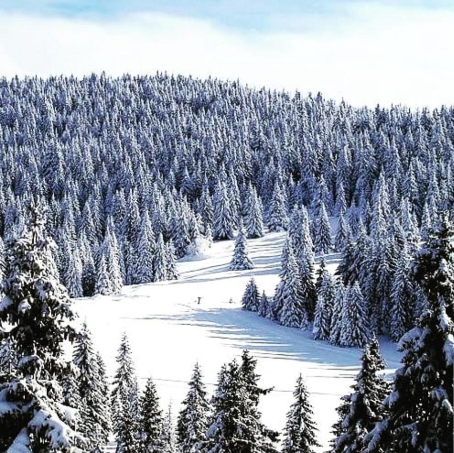 Zlatibor Hills Royal Apartment Ngoại thất bức ảnh