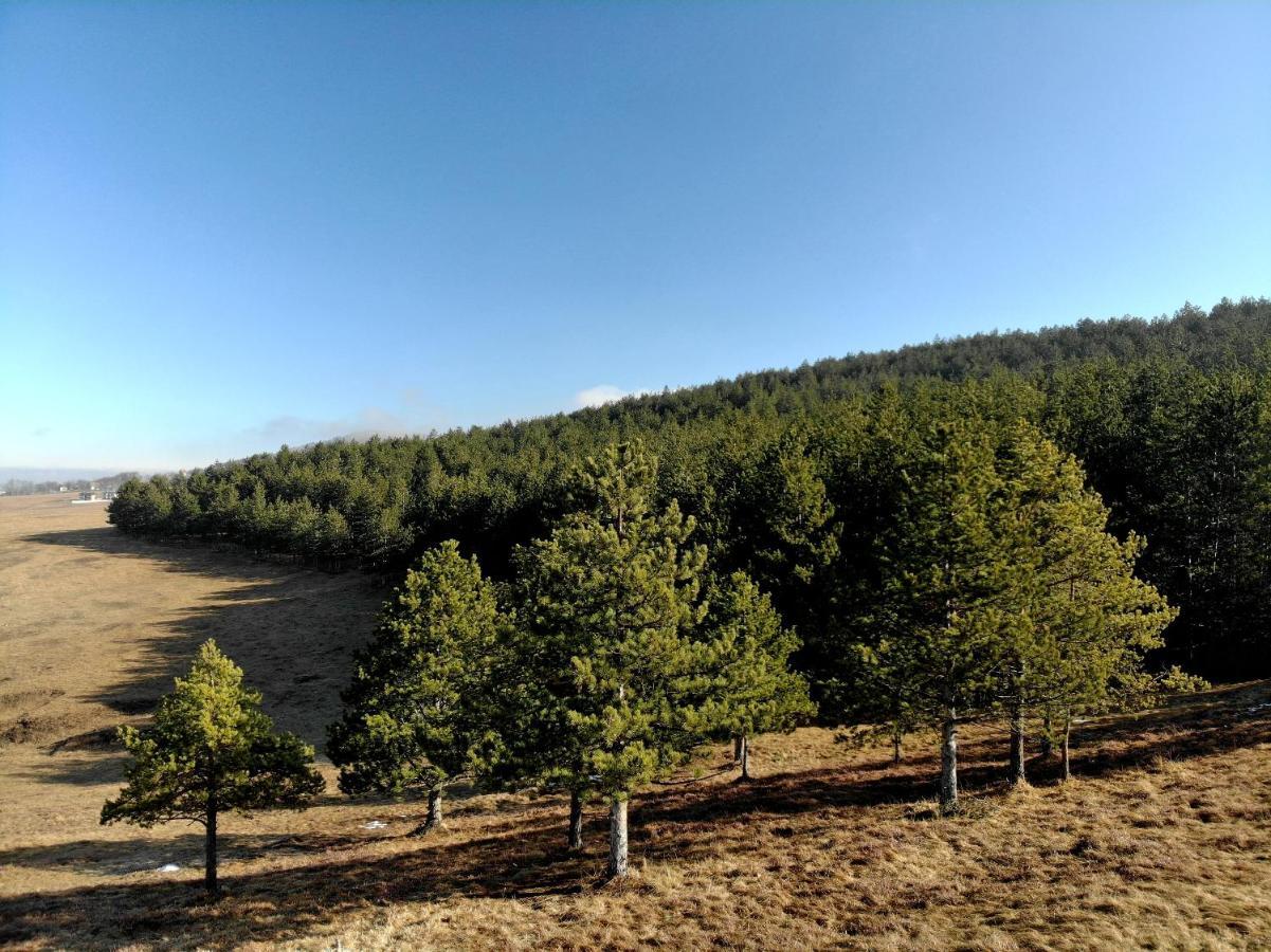 Zlatibor Hills Royal Apartment Ngoại thất bức ảnh