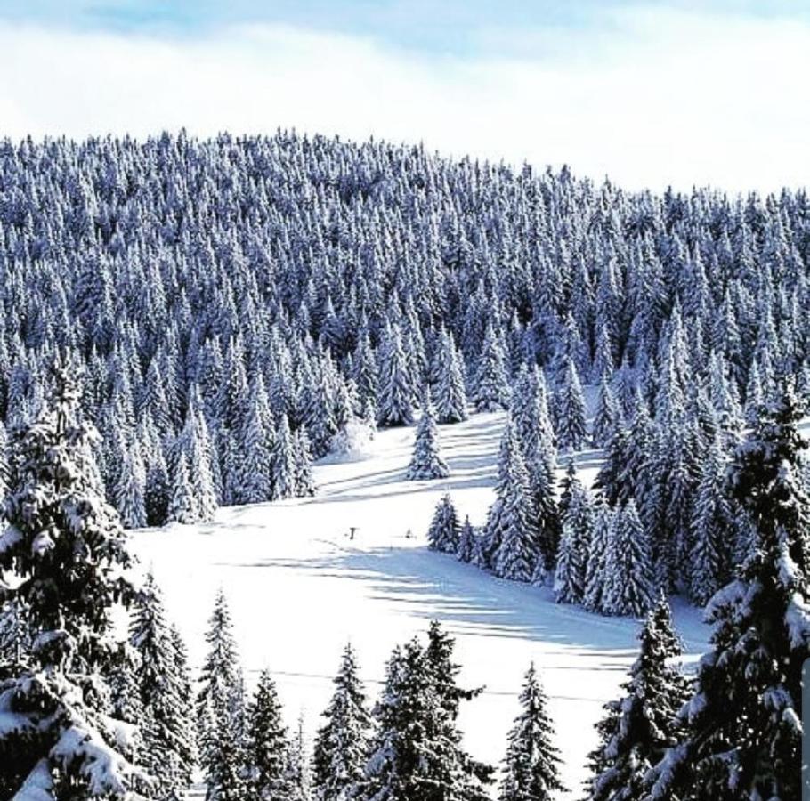 Zlatibor Hills Royal Apartment Ngoại thất bức ảnh