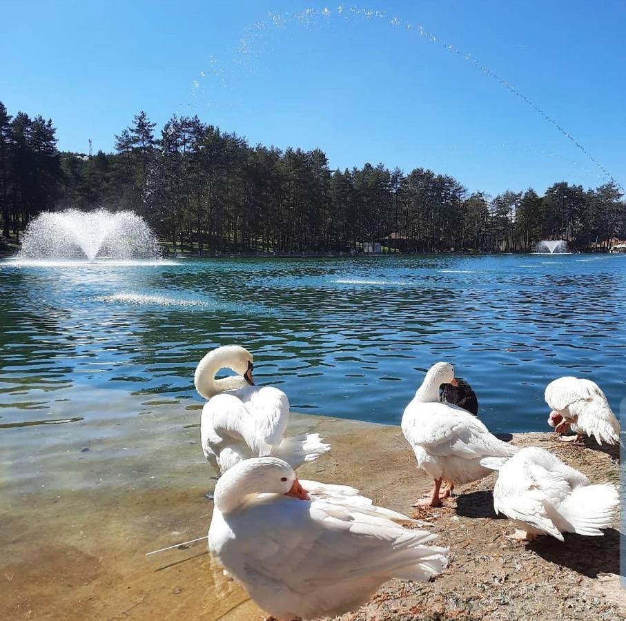 Zlatibor Hills Royal Apartment Ngoại thất bức ảnh